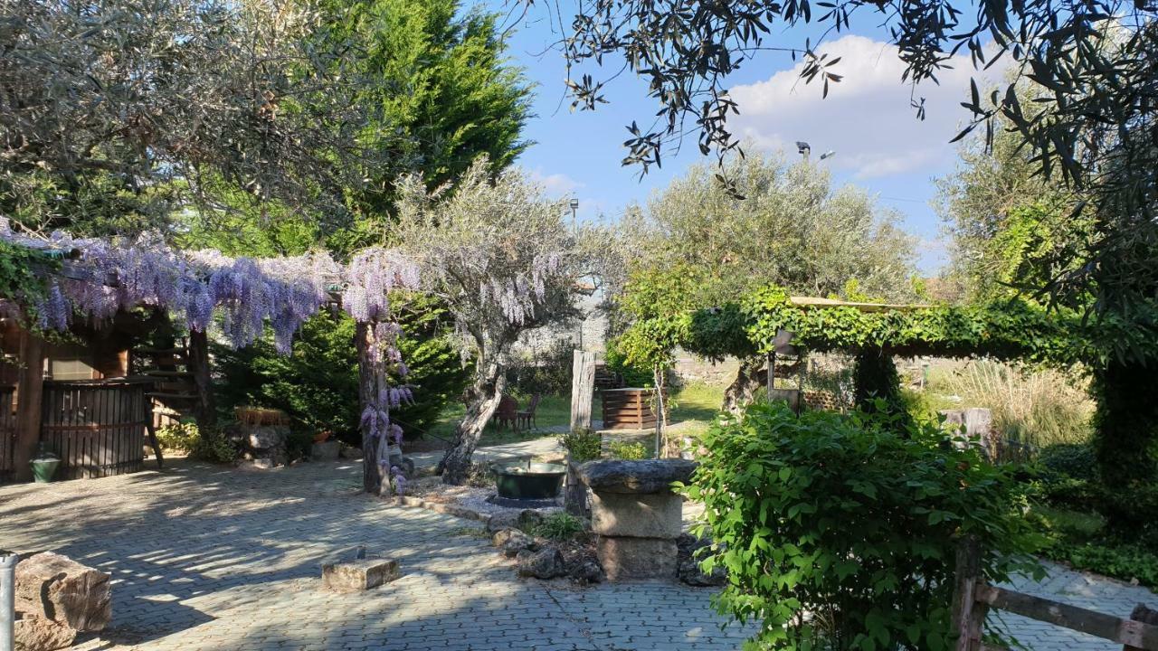 Casa Do Redondo Bed and Breakfast Rabaçal Buitenkant foto
